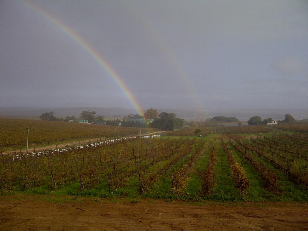 Dieu Donne Stellenbosch